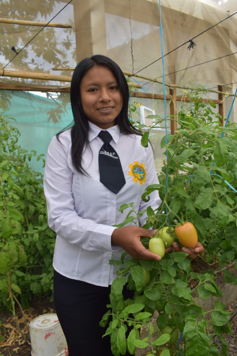 PROGRAMA DE ESTUDIOS: PRODUCCIÓN AGROPECUARIA